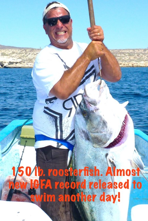 Burgess 1 rooster 6-14 PMT