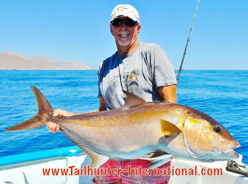 amberjack small tags roger thompson 4-15