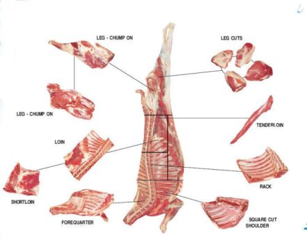 AO-978730779-611433065-68710