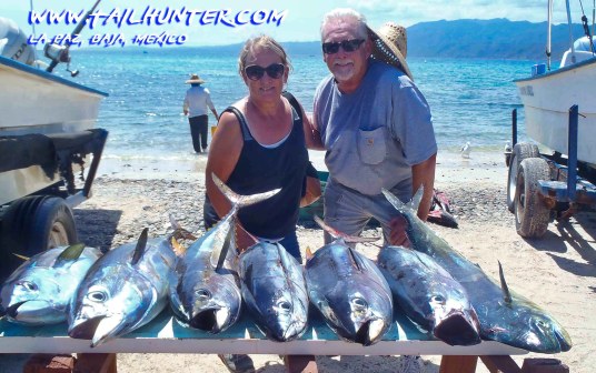 FRANK ANNETTE BROOKE tags 9-18