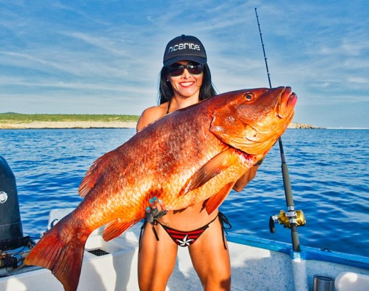 Laura pargo big 9-18