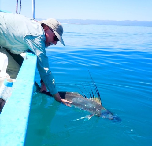 wayne seibert rooster release 9-16