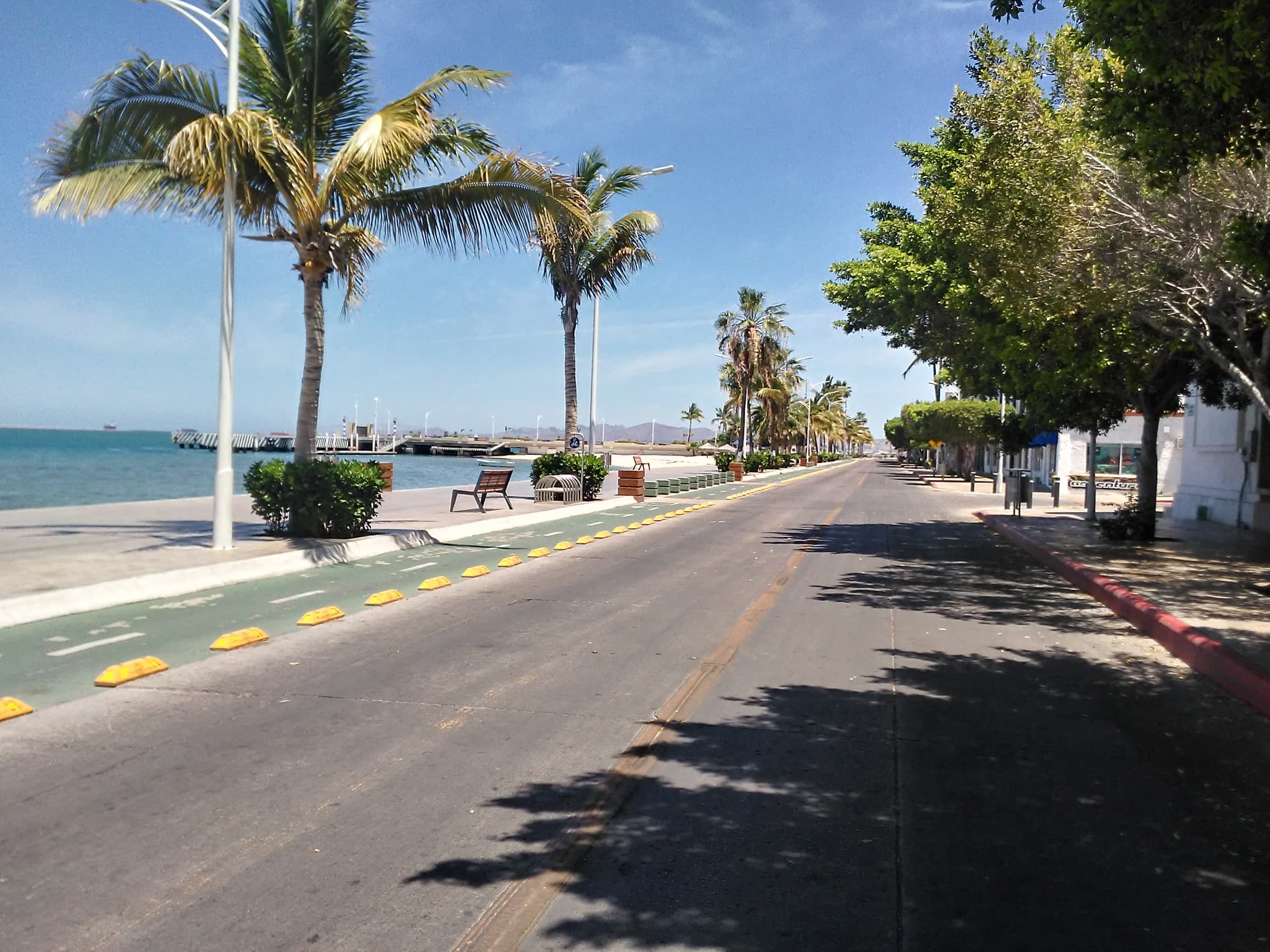 94521484_602282303693270_5486292766080106496_n