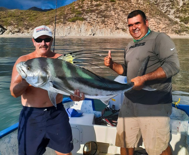 Dan Stewart Gerardo rooster 9-20