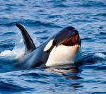 496510401_1385568982498074_1955357493150119723_n copy